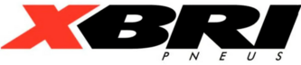 Logo XBRI